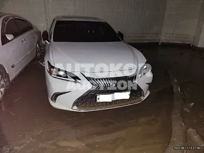 2019, Lexus / ES 300, VIN: JTHB21B11K2015515, hybrid