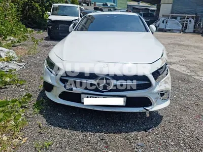 2019, Mercedes-Benz / CLS 400, VIN: WDD2J2DB5KA016419, diesel