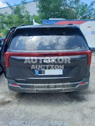 2024, Kia / Carnival, diesel, 2200 куб.см.