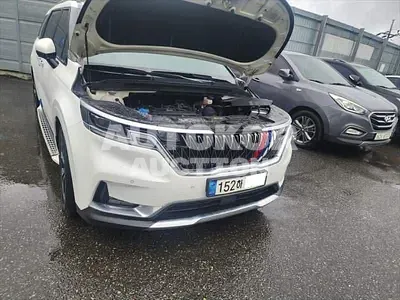 2021, Kia / Carnival, VIN: KNANE81BBMS107502, 116819 км., diesel