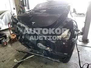 2021, Tesla / Model Y, VIN: 5YJYGDEE0MF176063, electric
