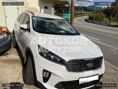 2019, Kia / Sorento, VIN: KNAPS81ABLA583652, 58223 км., diesel, 1995 куб.см.