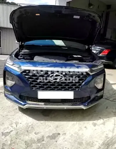 2019, Hyundai / Santa FE, VIN: KMHS581BDKU127306, diesel