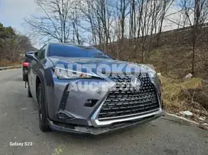 2019, Lexus / UX 250, VIN: JTHY6JBH6K2001251, hybrid