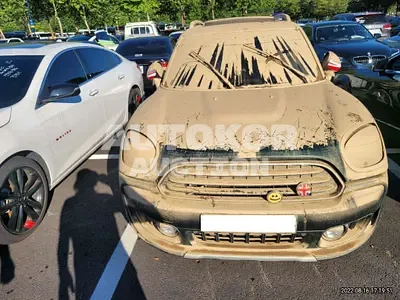 2019, MINI / Countryman, VIN: WMWYU9109K3H02104, 30000 км., gas