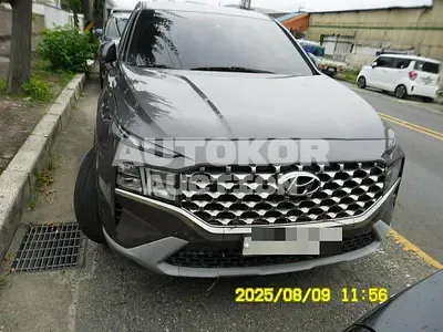 2022, Hyundai / Santa FE, VIN: KMHS281HHPU459271, 102271 км., diesel, 2200 куб.см.