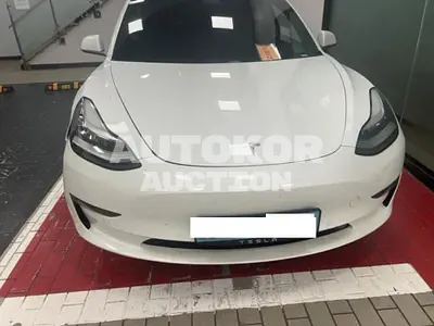 2020, Tesla / Model 3, VIN: 5YJ3E1EB0LF585716, electric