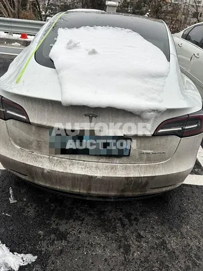 2021, Tesla / Model 3, 98613 км., electric, 225 куб.см.