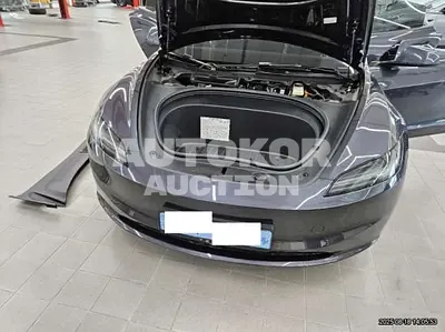 2025, Tesla / Model 3, VIN: LRW3E7EK4SC474856, 11119 км., electric