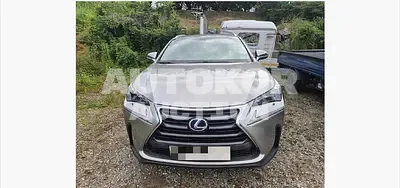 2017, Lexus / nx300h, 250334 км., hybrid, 2494 куб.см.