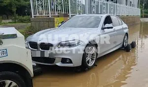 2016, BMW / 520, VIN: WBA5E7103GG567560, 110000 км., diesel, 2000 куб.см.