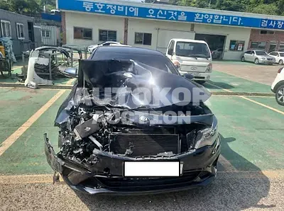 2019, Kia / K5, VIN: KNAGU411BKA323614, 59834 км., gas