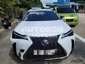 2020, Lexus / UX 250, VIN: JTHR6JBH8L2070822, 20813 км., hybrid