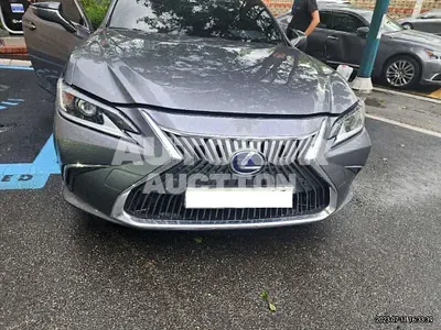 2019, Lexus / ES 300, VIN: JTHB21B17K2066050, hybrid