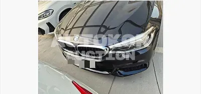 2019, BMW / 530, 34674 км., gas, 1998 куб.см.