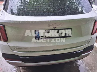 2024, Kia / Sorento, 46657 км., hybrid, 1600 куб.см.