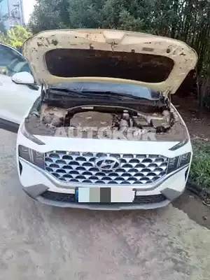 2020, Hyundai / Santa FE, 30000 км., diesel, 2200 куб.см.