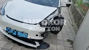 2021, Tesla / Model 3, VIN: 5YJ3E1EB5MF024946, 4100 км., electric, 236 куб.см.