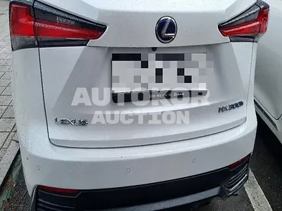 2019, Lexus / NX 300, hybrid