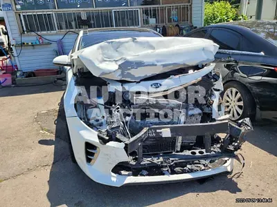 2016, Kia / K5, VIN: KNAGX417GGA023817, gas