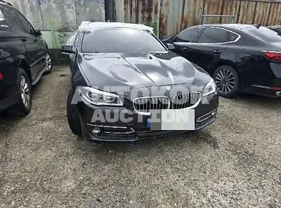 2015, BMW / 528, 304030 км., gas, 1997 куб.см.