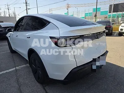 2026, Tesla / Model Y, electric, 180 куб.см.