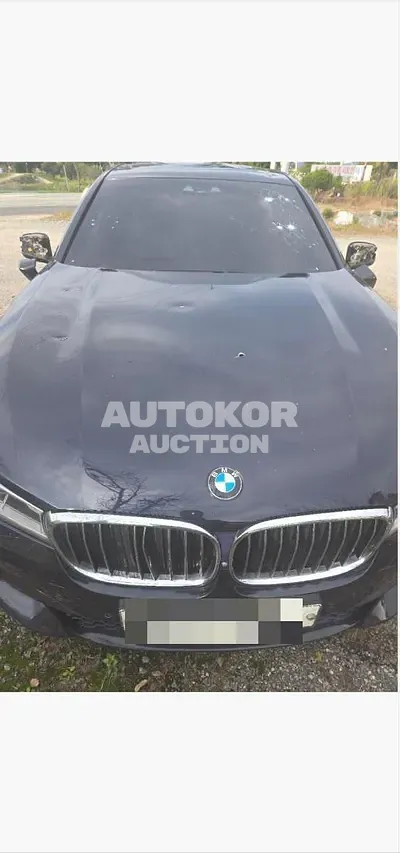 2018, BMW / 740, 268963 км., diesel, 2993 куб.см.