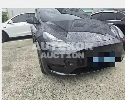 2025, Tesla / Model Y, 3108 км., electric, 173 куб.см.