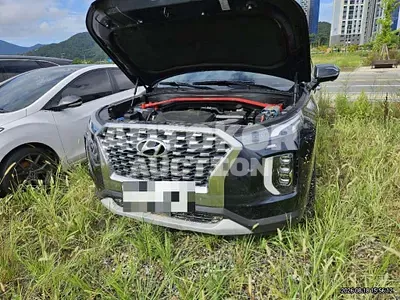 2019, Hyundai / Palisade, 100000 км., gas, 3800 куб.см.