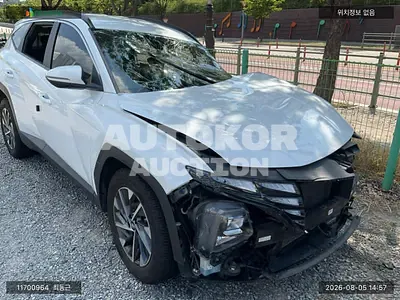 2021, Hyundai / Tucson, VIN: KMHJC81CDMU034176, 118075 км., diesel, 1998 куб.см.