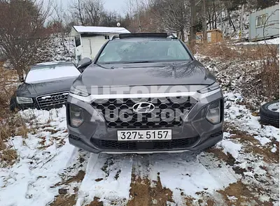 2020, Hyundai / Santa FE, VIN: KMHS381ABLU249880, 50141 км., gas