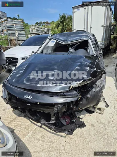 2018, Kia / K5, VIN: KNAGT411BKA251612, gas