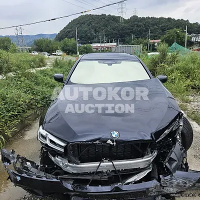2021, BMW / 520, gas