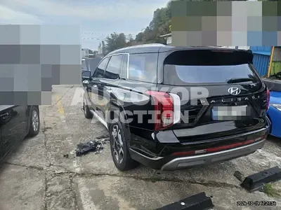 2024, Hyundai / Palisade, 36031 км., gas, 3800 куб.см.