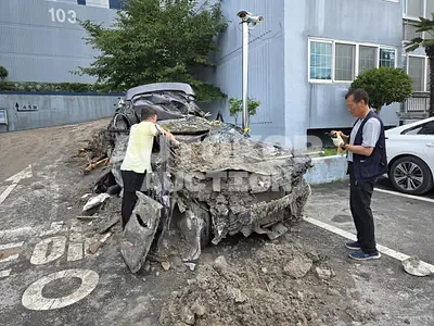 2018, Hyundai / Santa FE, VIN: KMHS281BDKU038661, diesel, 1995 куб.см.