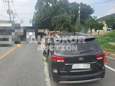2017, Kia / Carnival, diesel, 2199 куб.см.