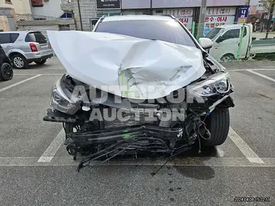 2016, Hyundai / Santa FE, VIN: KMHSW81UDGU565749, diesel