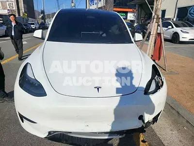 2024, Tesla / Model Y, VIN: LRWYGCFS9RC159522, 6195 км., electric
