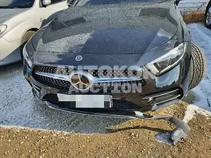 2019, Mercedes-Benz / CLS 450, VIN: WDD2J5KB2KA016527, 94805 км., gas