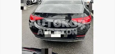 2019, Mercedes-Benz / CLS 300, 125698 км., diesel, 1950 куб.см.