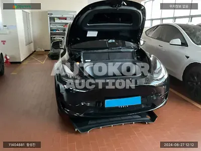 2024, Tesla / Model Y, VIN: LRWYGCFS0RC554642, electric