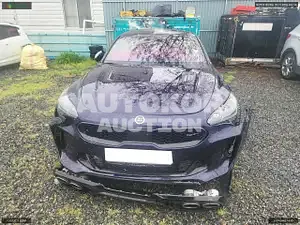 2017, Kia / Stinger, VIN: KNAE751CDJS001317, gas