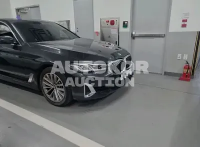 2021, BMW / 530, VIN: WBA71BH01MWW97495, 36558 км., gas