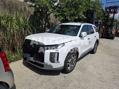 2024, Hyundai / Palisade, VIN: KMHR281ABRU897774, diesel, 2200 куб.см.