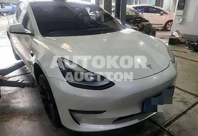 2021, Tesla / Model 3, electric