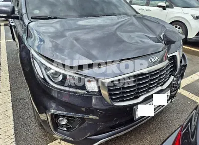 2019, Kia / Carnival, VIN: KNAMB81ABKS594992, 79498 км., diesel