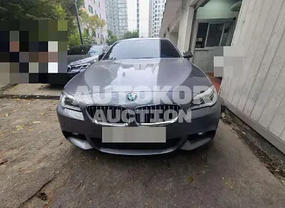 2016, BMW / 520, 133420 км., diesel, 1995 куб.см.