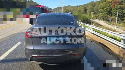 2022, Tesla / Model Y, 265544 км., electric