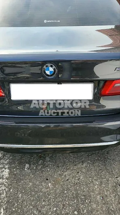 2019, BMW / 530, VIN: WBAJD9102KB278141, 67210 км., gas