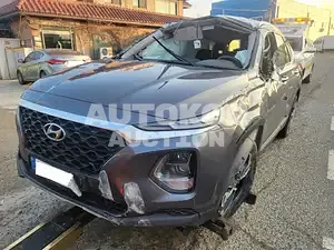2019, Hyundai / Santa FE, VIN: KMHS281BBKU176211, diesel
